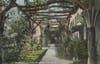 Shadows of the Past: The Rise and Fall of Riverside's Iconic Pergolas