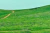 Emerald Empire: Finding Ireland in Riverside's Hills