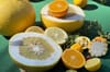 Eat This, Riverside: Exotic Citrus from UCR’s Givaudan Citrus Variety Collection