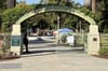 Riverside Art Market Celebrates 10th Anniversary as Community Cultural Hub