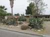From Desert Jewel to Hidden Gem: The Story of Riverside’s White Park Cactus Garden
