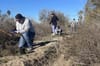 Volunteers Plant 250 Native Trees at Hidden Valley Nature Center