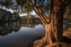 Lake Evans, Fairmount Park, Riverside CA