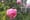 Blooms and Backstories at Heritage House