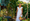 Riverside Garden Tips for July 2025