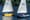 Riverside Regatta: A day of         smooth sailing on Lake Evans